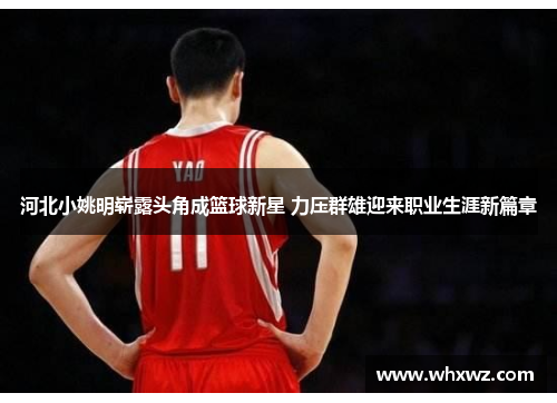 河北小姚明崭露头角成篮球新星 力压群雄迎来职业生涯新篇章