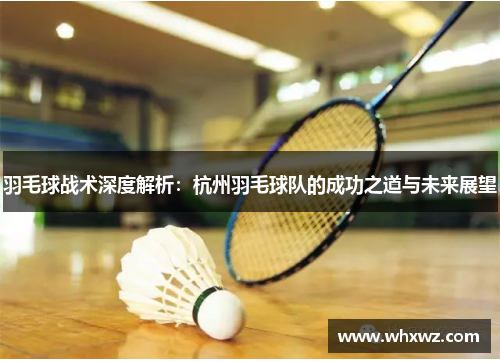 羽毛球战术深度解析：杭州羽毛球队的成功之道与未来展望