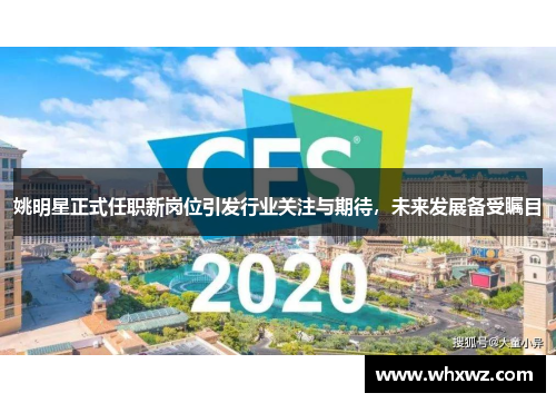 姚明星正式任职新岗位引发行业关注与期待，未来发展备受瞩目