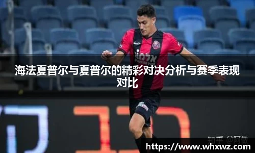 海法夏普尔与夏普尔的精彩对决分析与赛季表现对比